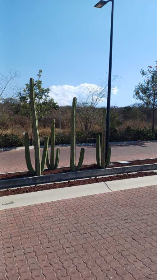 CIUDAD MADERAS MONTAÑA TERRENO EN VENTA