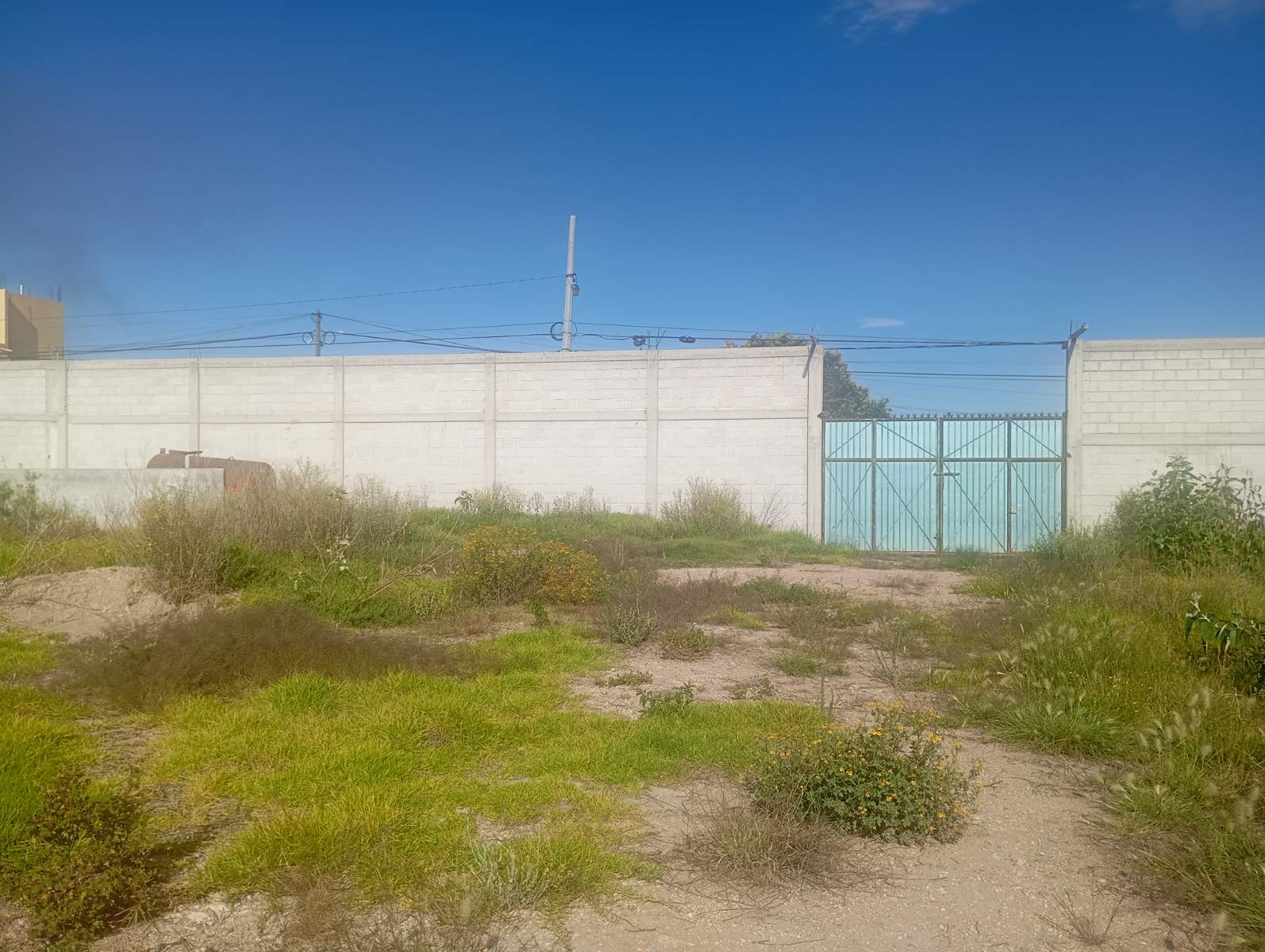 Terreno centrico con bardas $ 1'200 m2